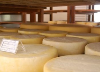 Senar abre inscrição para queijeiros do Alto Sertão até o dia 31