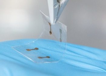 Cientistas criam tela dobrável e ultrafina para smartphones