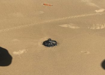 Maré alta provoca surgimento de novas manchas de óleo no litoral