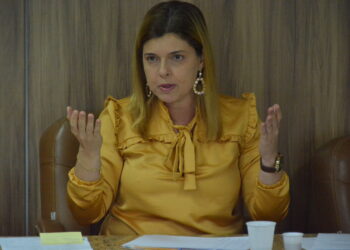 Deputada Maisa Mitidieri, continua trabalhando muito na Alese