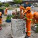 Prefeitura alia paisagismo a ações voltadas à eliminação dos pontos de descarte irregular