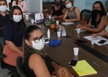 Logística da Campanha de Vacinação contra COVID-19 é debatida entre entidades da Enfermagem, SMS e SES