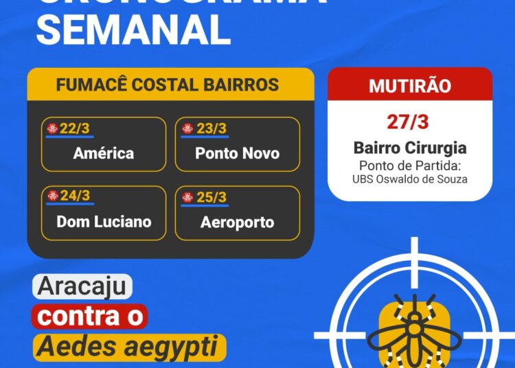 Confira o cronograma de fumacê e de mutirão de limpeza desta semana