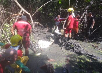 Prefeitura de Aracaju presta suporte ao atendimento da ocorrência do acidente aéreo no bairro Coroa do Meio