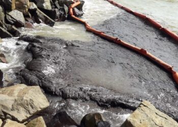 Após dois anos do derramamento de óleo na costa brasileira, governo ainda não consegue punir culpados