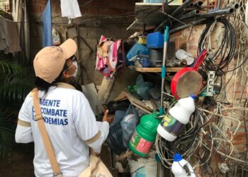 Aracaju apresenta médio risco de infestação das doenças transmitidas pelo Aedes