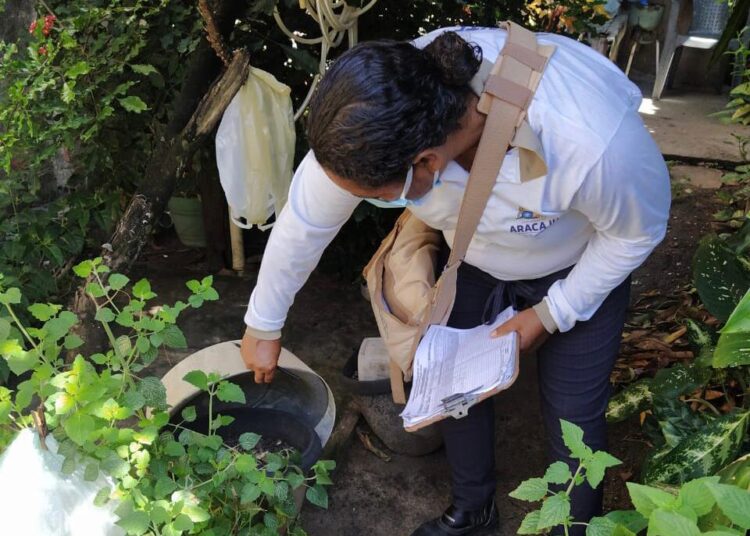 População pode e deve colaborar para eliminação de criadouros de Aedes aegypti