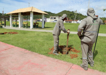 Projeto Aracaju Mais Verde realizou o plantio de mais de 2.100 mudas em um mês