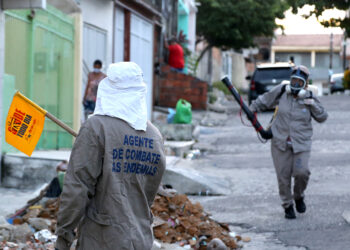 Prefeitura direciona ações de combate ao Aedes aos bairros com maiores índice de infestação