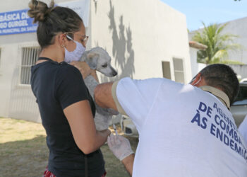 Prefeitura inicia nova etapa da vacinação antirrábica a partir desta segunda, 25