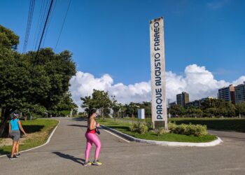 Parque da Sementeira reabre ao público a partir de segunda-feira, 8