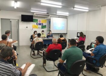 Conselho Municipal discute plantão psicológico remoto e Conferência de Saúde Mental