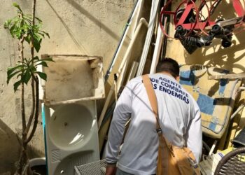 Aedes: notificações de doenças aumentam 147% após impedimento de visitas domiciliares