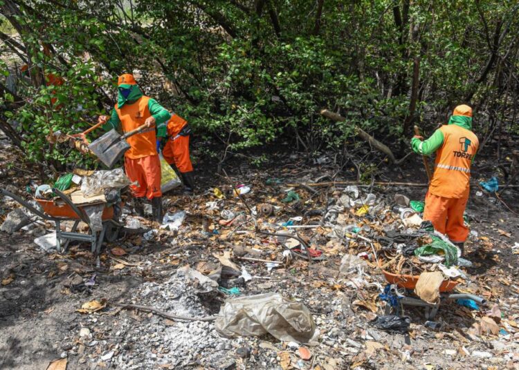 Prefeitura recolhe 80 t de resíduos por mês em manguezal da Coroa do Meio