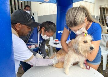 Prefeitura promove Semana Nacional de Controle e Combate à Leishmaniose