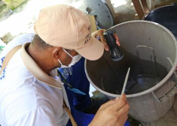 Dengue, chikungunya e zika: saiba os sintomas e quando buscar atendimento médico