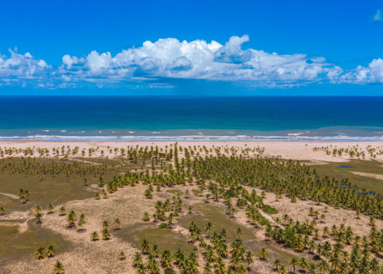 Confira a programação completa do quarto fim de semana do Verão Sergipe 2024