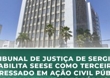 Tribunal de Justiça de Sergipe habilita Seese como terceiro interessado em ação civil pública sobre maternidades públicas estaduais