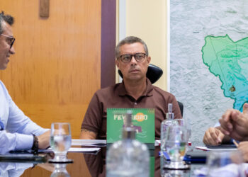 Governador participa de reunião com ministra da Saúde para alinhar ações de prevenção à dengue