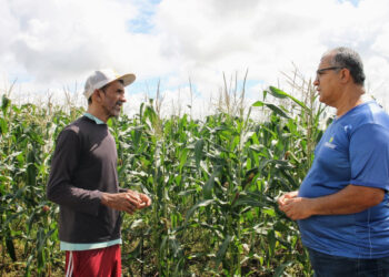 Governo do Estado incentiva desde a produção até a comercialização de produtos juninos