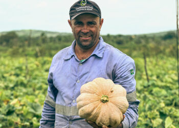 Mais de 14 mil sergipanos são diretamente beneficiados por tecnologia de irrigação ofertada pelo Governo do Estado