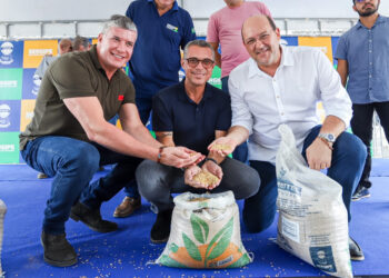 Fábio Mitidieri entrega 175 toneladas de sementes de arroz para produtores do baixo São Francisco