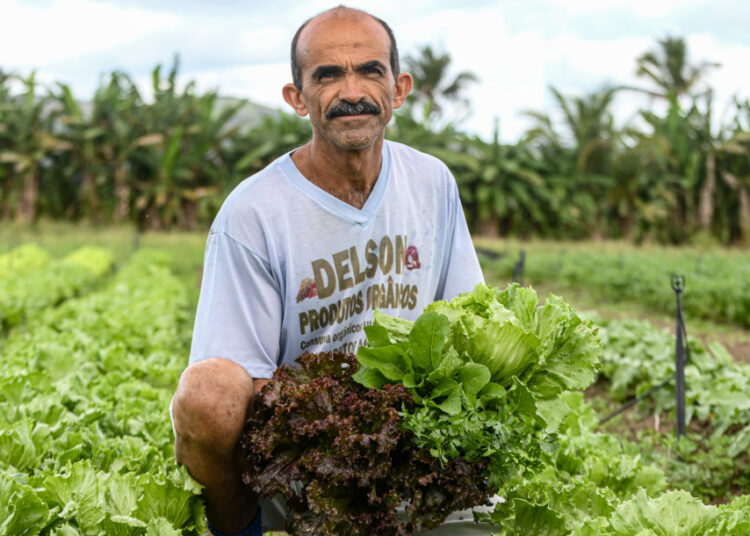 Governo investe R$ 60 milhões na agricultura e produtores comemoram fortalecimento do setor em Sergipe
