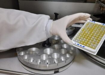 SES monitora febre oropouche em Sergipe desde outubro de 2023, diz pasta