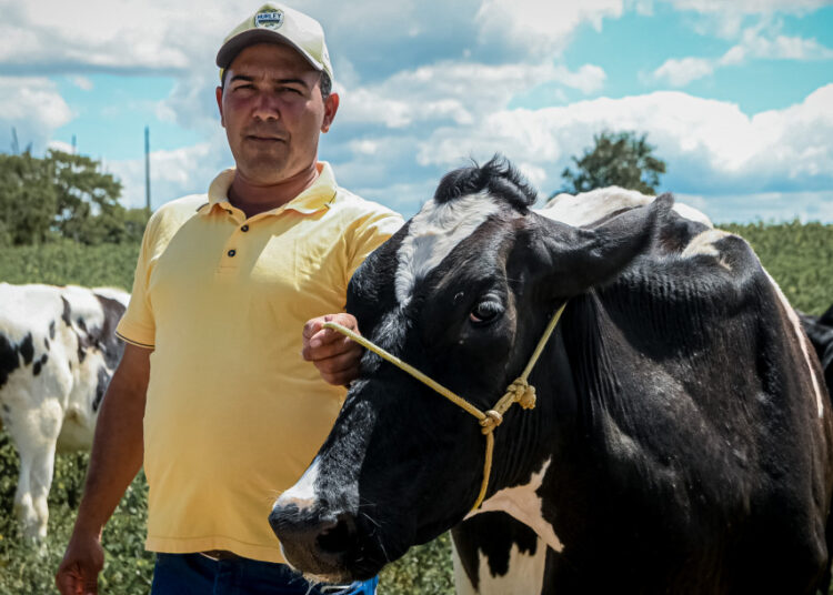Investimentos do Governo de Sergipe recuperam e ampliam produção pecuária no estado