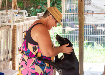 Castramóvel supera 4,5 mil atendimentos e tem qualidade no cuidado como marca