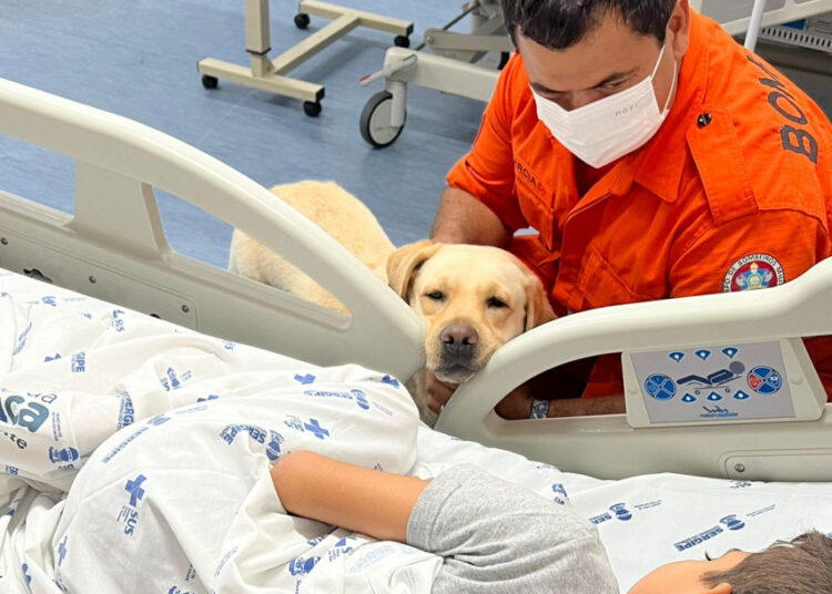 Hospital da Criança realiza ações para tornar tratamento mais acolhedor aos pacientes