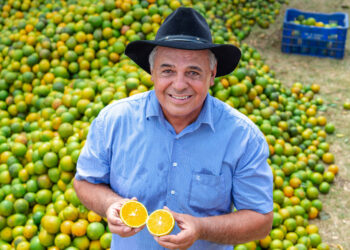 Sergipe se destaca como 2º maior fornecedor de laranja para Ceasas do Brasil
