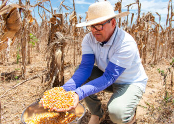 Programa Sementes do Futuro melhora produtividade e garante segurança alimentar aos agricultores sergipanos
