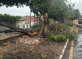 ‼️ NOTA À IMPRENSA ‼️