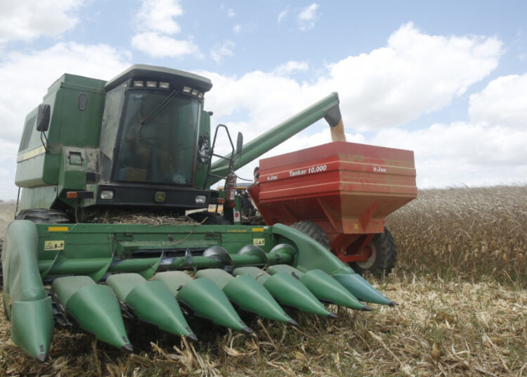 Sergipe conquista topo do ranking brasileiro com maior produtividade de grãos na safra 2024