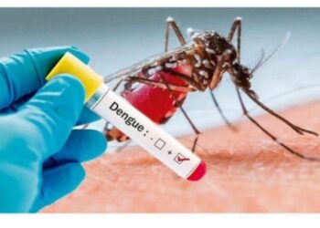 Aracaju e mais 10 capitais não ampliarão faixa etária da vacina contra a dengue