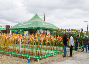Governo do Estado incentiva agronegócio sergipano com apoio ao Sealba Show 2025