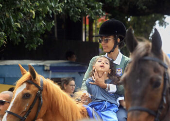 Governo de Sergipe lança edital de seleção para serviço de equoterapia no estado