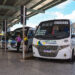 Frota do transporte intermunicipal será ampliada no feriado prolongado