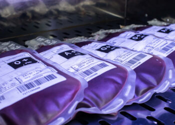 Hemose intensifica ações no ‘Junho Vermelho’ e reforça importância da doação de sangue