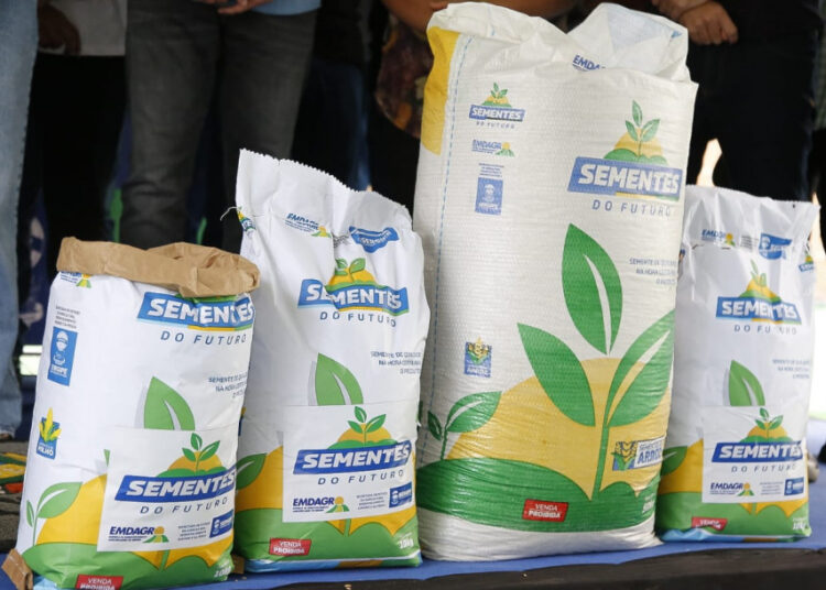 Governo do Estado entrega sementes de arroz certificadas a produtores do baixo São Francisco