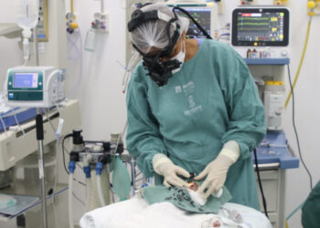Maternidade Nossa Senhora de Lourdes realiza cirurgia para evitar perda da visão de bebês prematuros