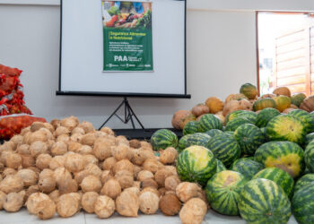 Governo realiza maior entrega do PAA deste ano com 28 toneladas de alimentos distribuídos para cinco municípios