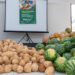 Governo realiza maior entrega do PAA deste ano com 28 toneladas de alimentos distribuídos para cinco municípios