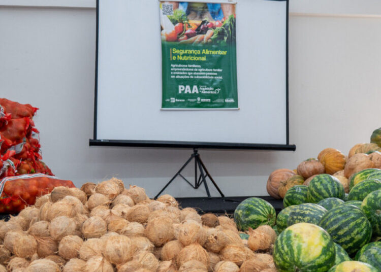 Sergipe é o primeiro estado do Nordeste com 100% de adesão dos municípios ao Sisan