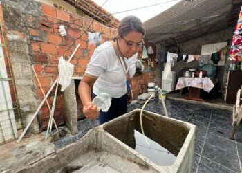 Quinto LIRAa de 2025 aponta queda no índice de infestação do Aedes aegypti em Aracaju