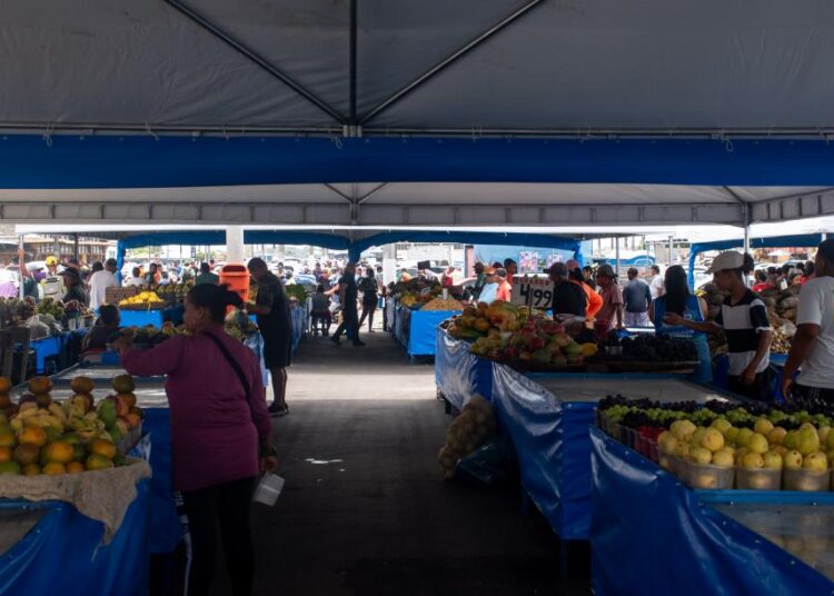 Feira Livre do Centro: feirantes e consumidores demonstram satisfação com novo espaço