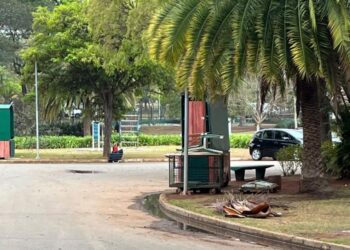 Visita técnica ao Parque Ibirapuera aproxima Sempi de novas possibilidades de gestão pública e parcerias com o setor privado
