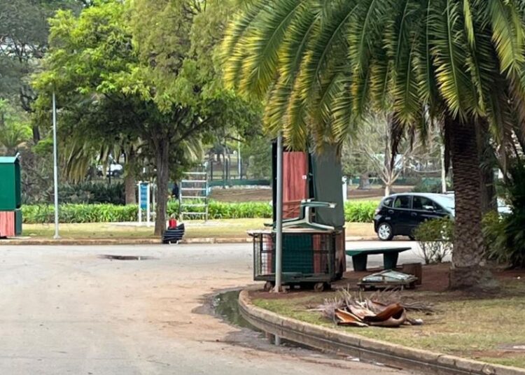 Visita técnica ao Parque Ibirapuera aproxima Sempi de novas possibilidades de gestão pública e parcerias com o setor privado