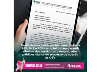 Seese e demais sindicatos da saúde realizam reunião com concursados e movimento estudantil para fortalecer a luta contra a precarização do trabalho